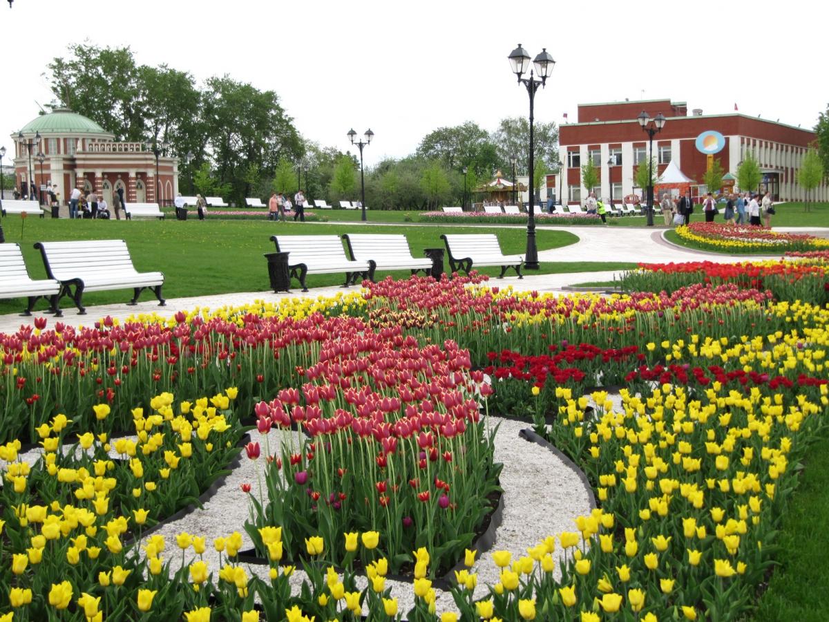Парк Царицыно тюльпаны
